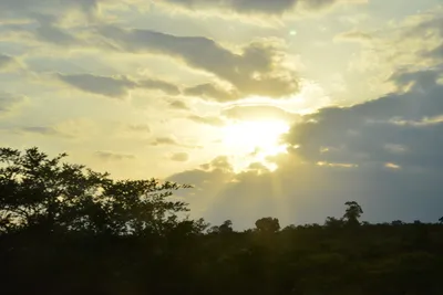 DSC_5399 (Large).JPG